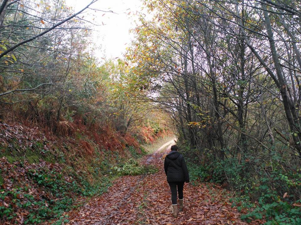 Apartamentos Casa de Riba