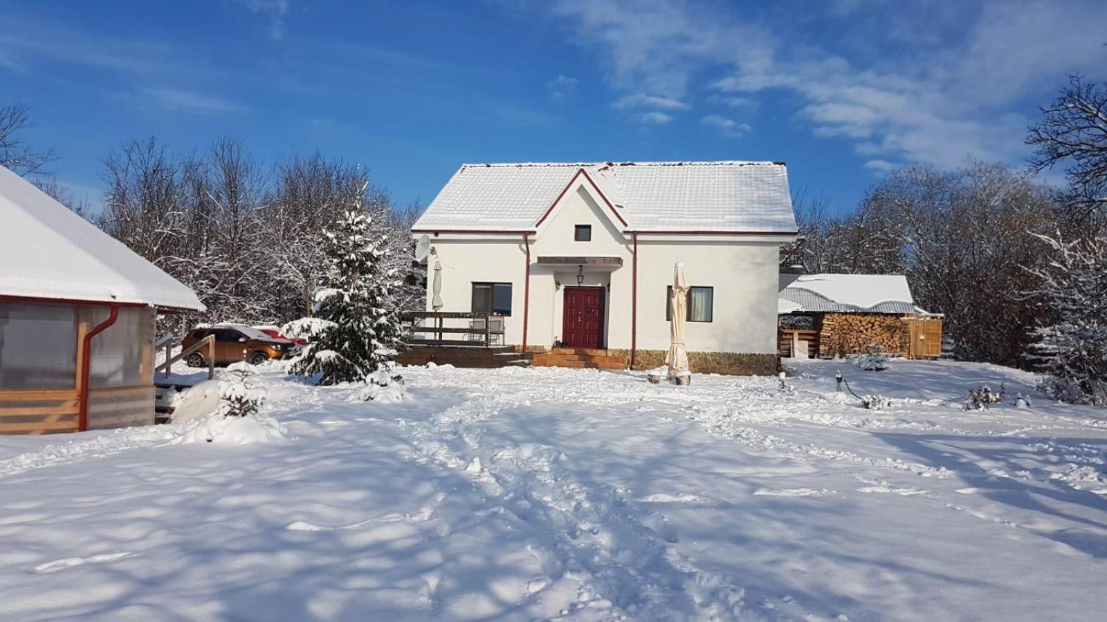 Pensiunea Casa Runcu Buzau