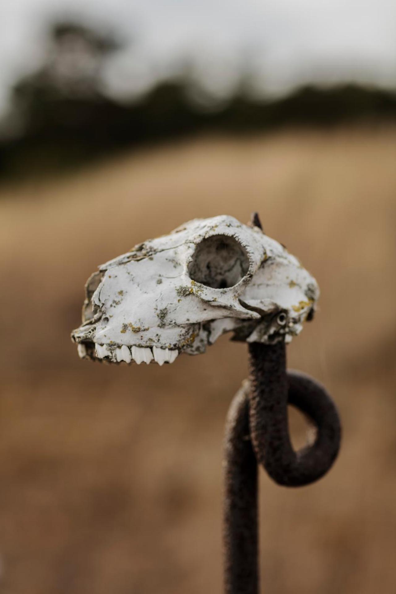 Fårösunds Fästning