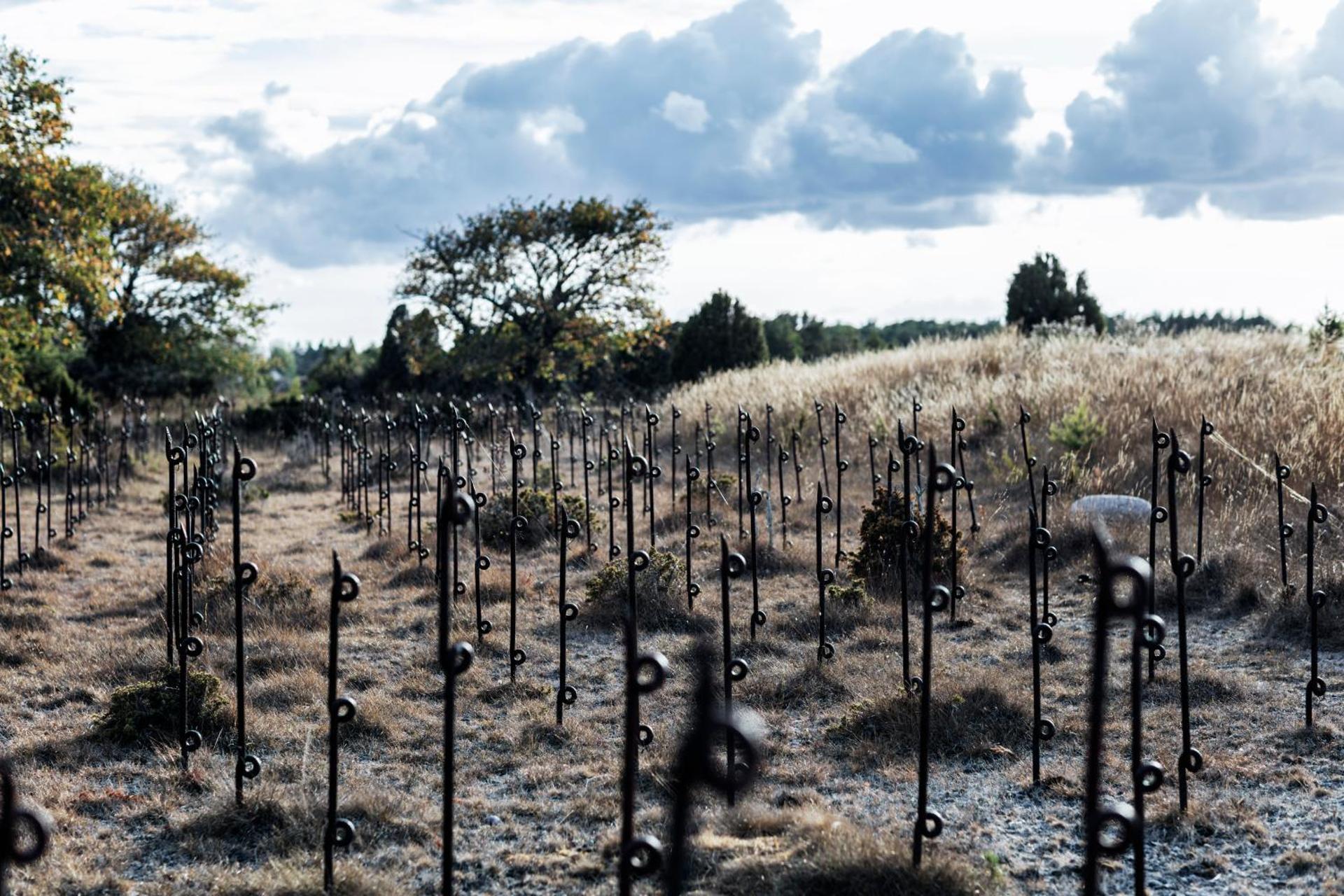 Fårösunds Fästning