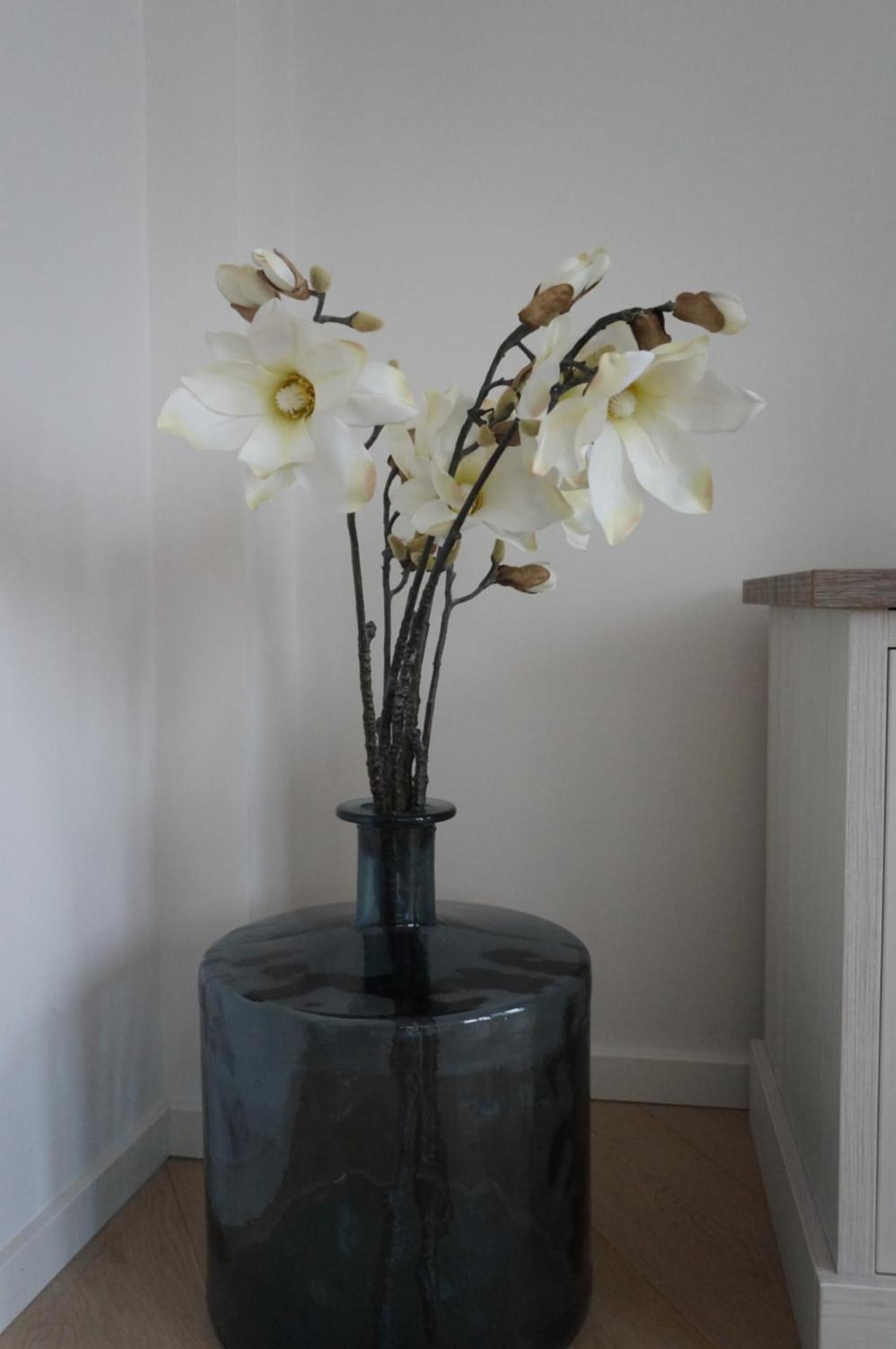 Appartement Mariakerke-Bad Zeezicht