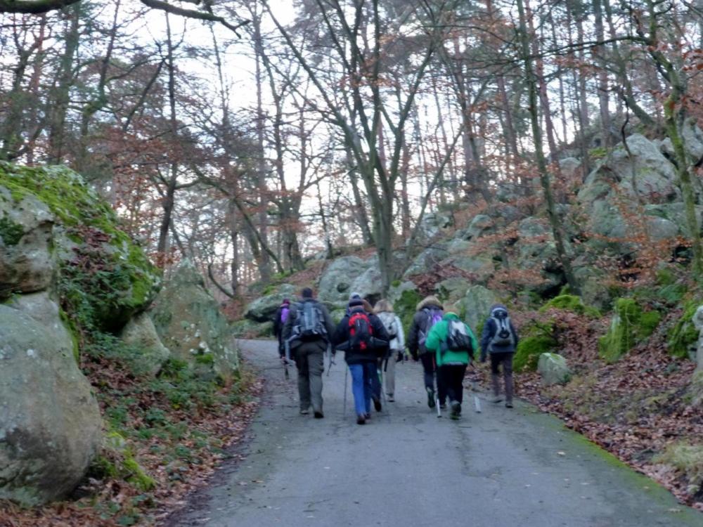 Etape forêt Fontainebleau climb & randonnées