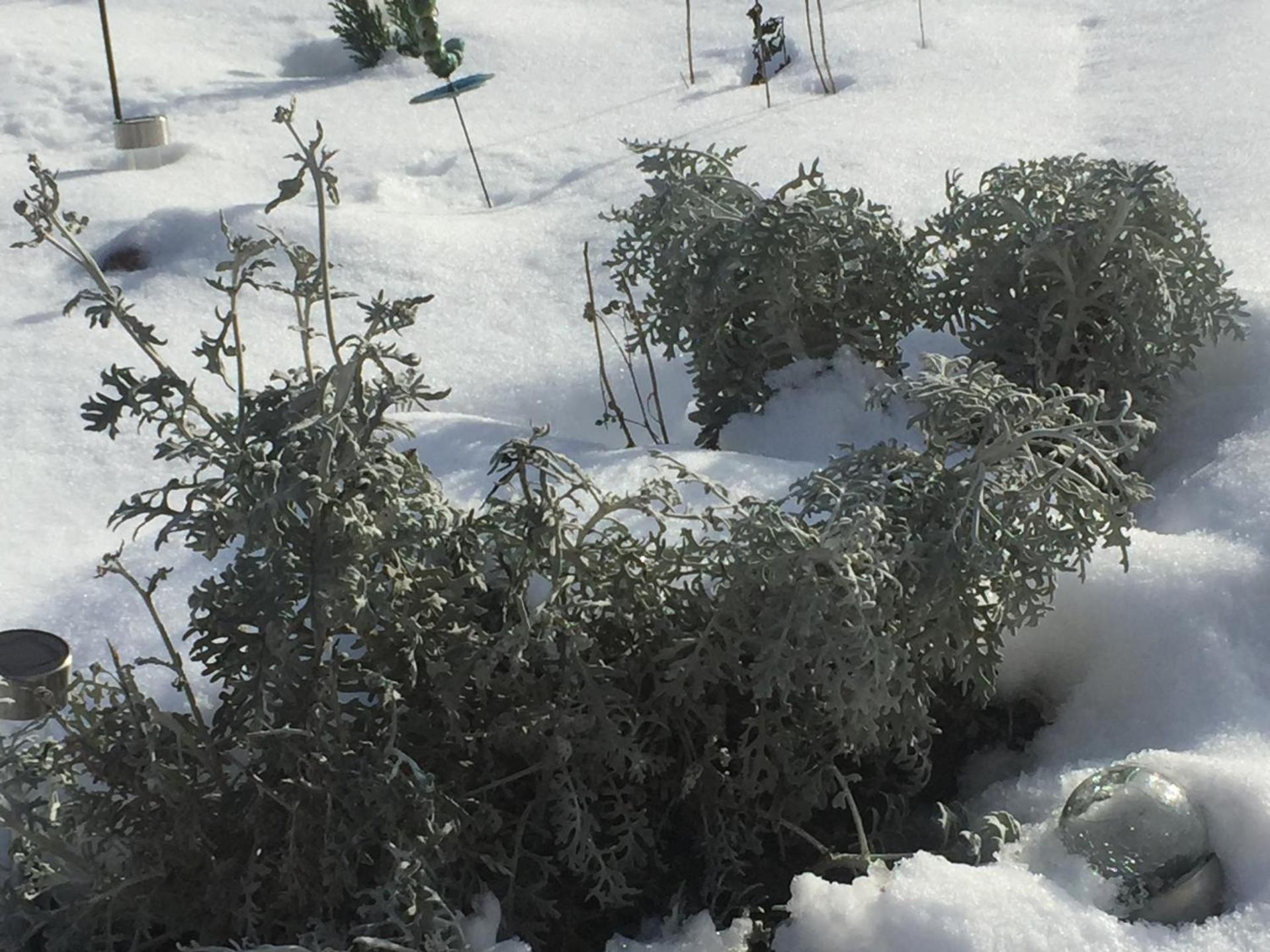 Ferme de la Petite Fagne