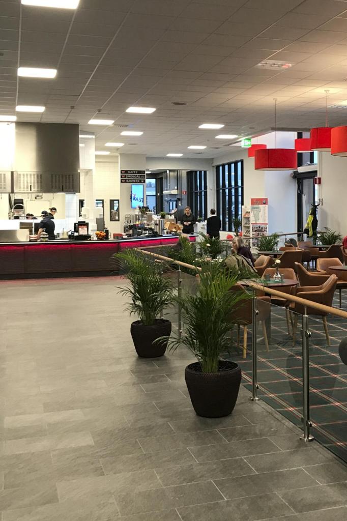 Restaurant/places to eat