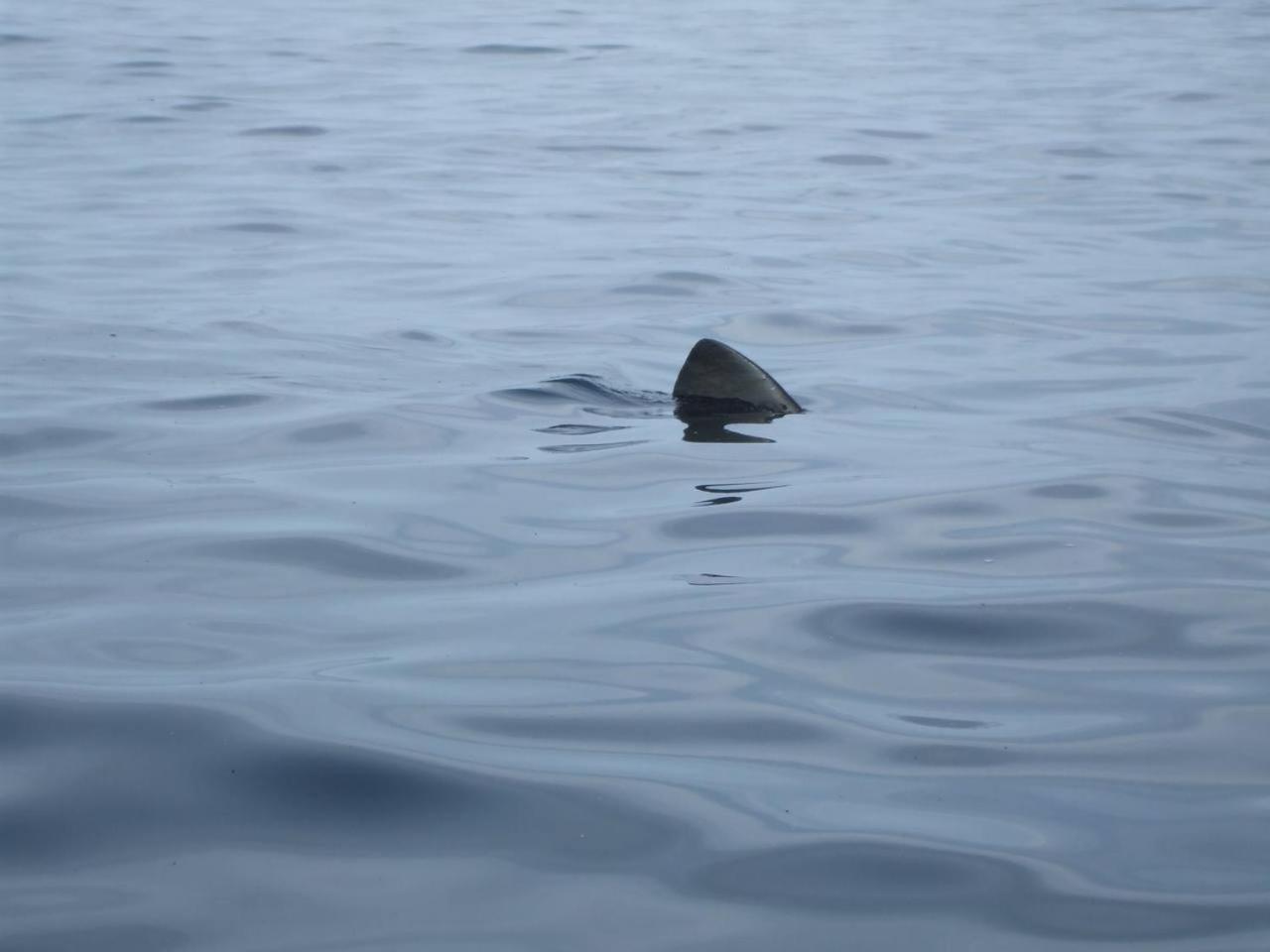 Casa Mar e Sol. Rinboy ,