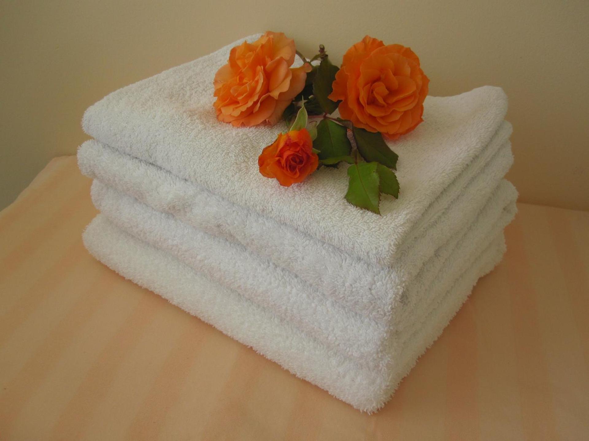 Ferienwohnung Bea in Rheine