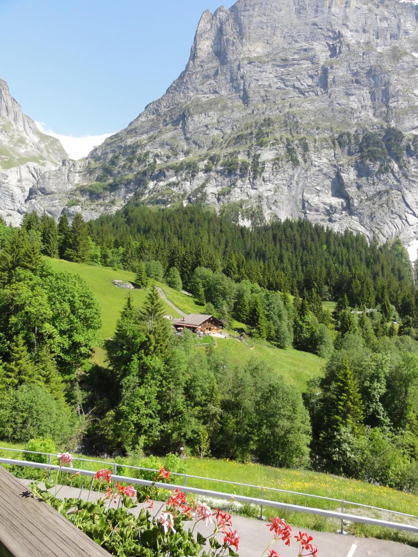 View (from property/room)