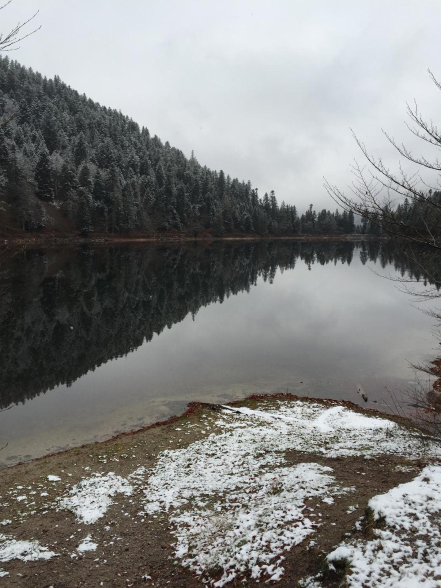 chalet "le Refuge du Brabant"