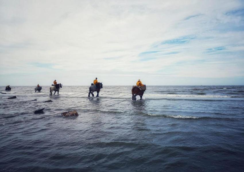 Shamrock Oostduinkerke