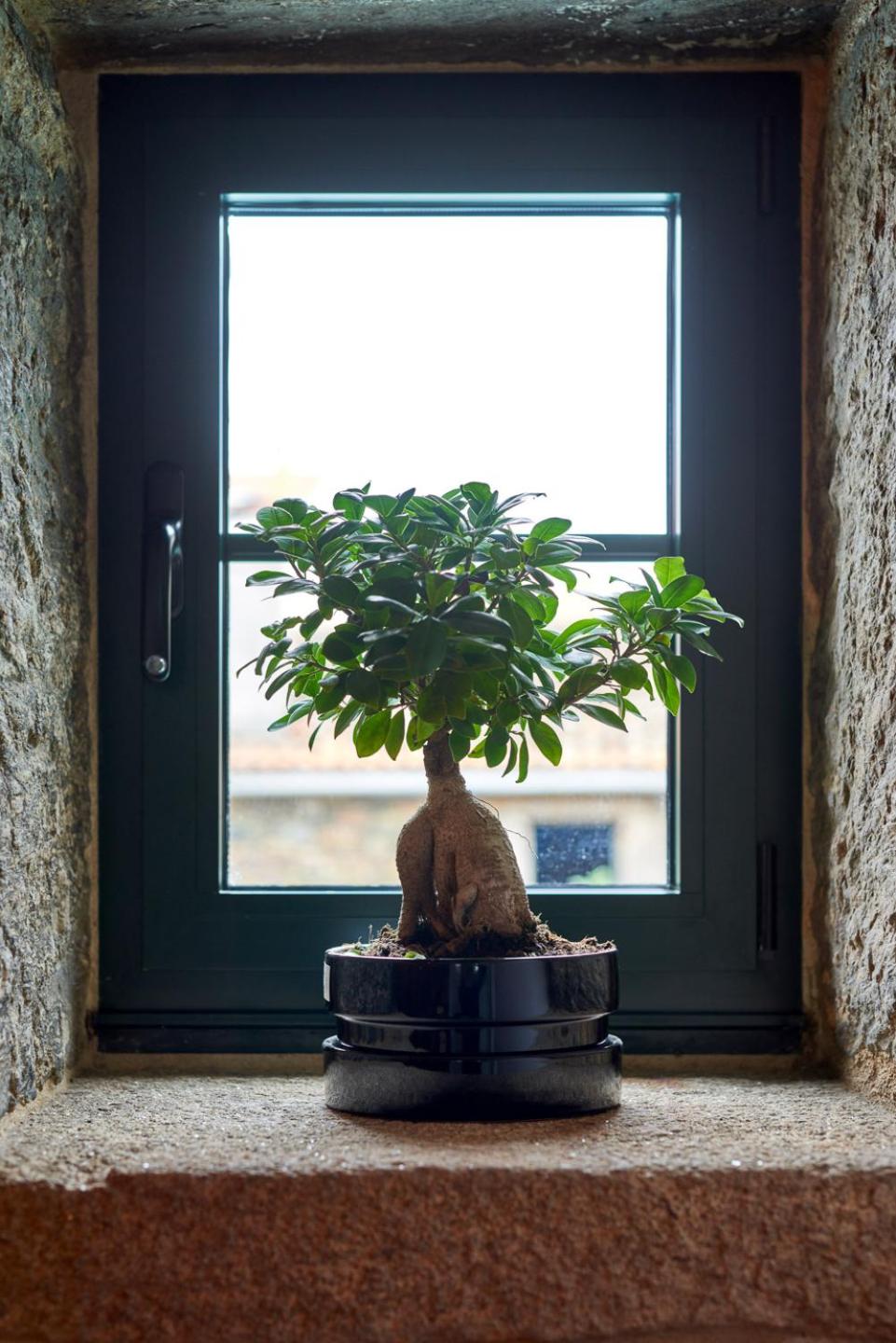 Casa Entera A Ferradura