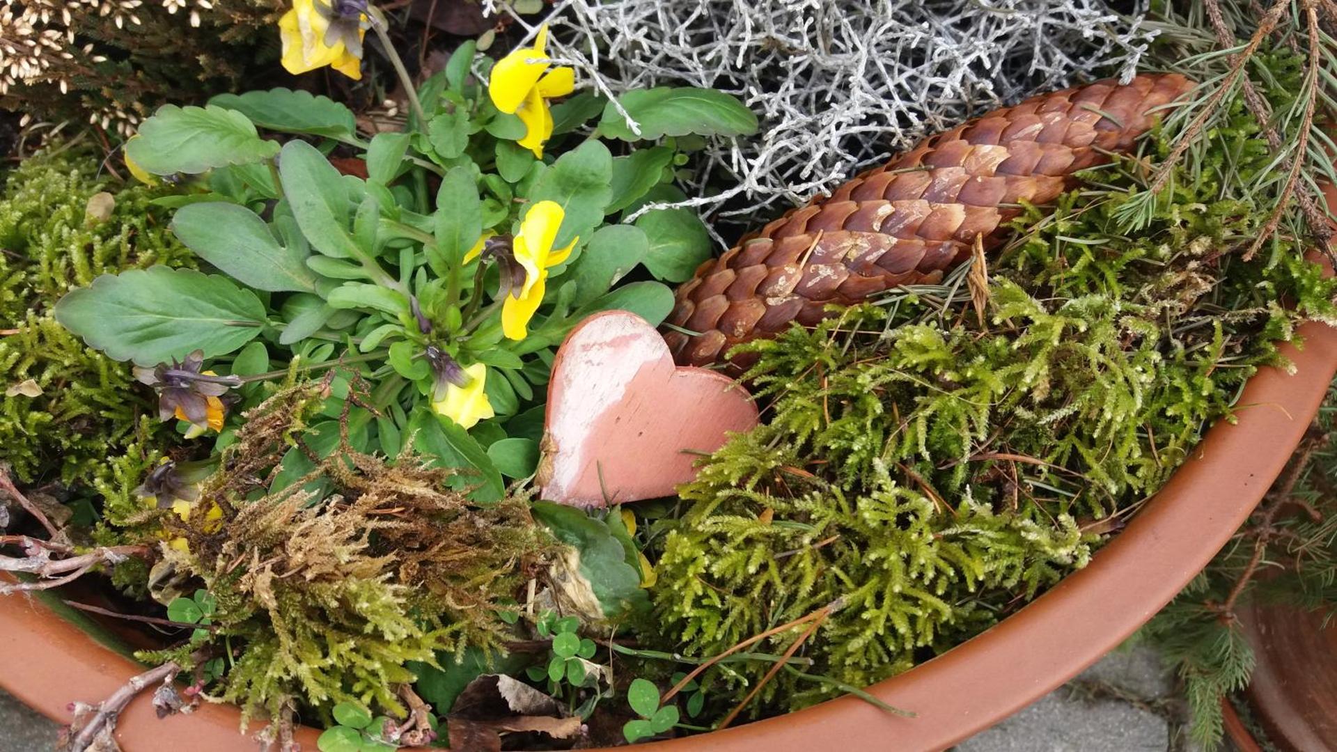 Ferienwohnung Holzer