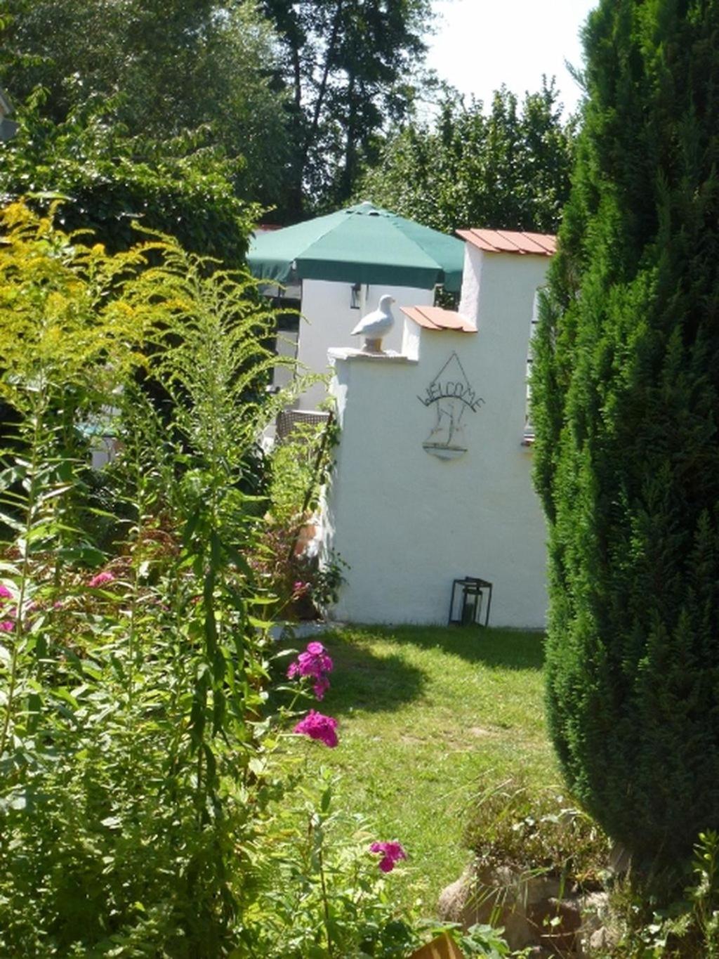 Mühlenteich in der Oldenstädter Wassermühle