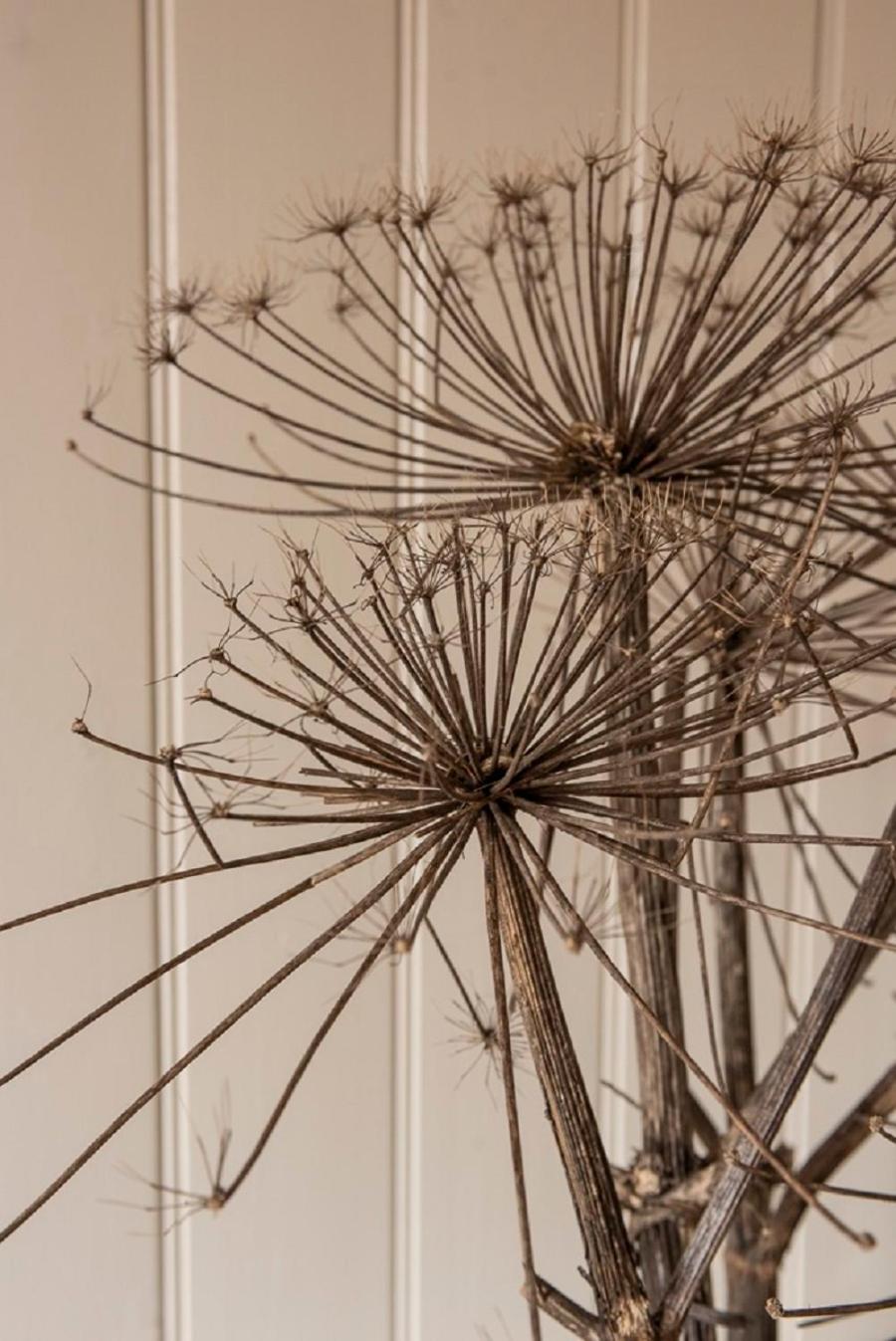 B&B "de Kleine Vesting"