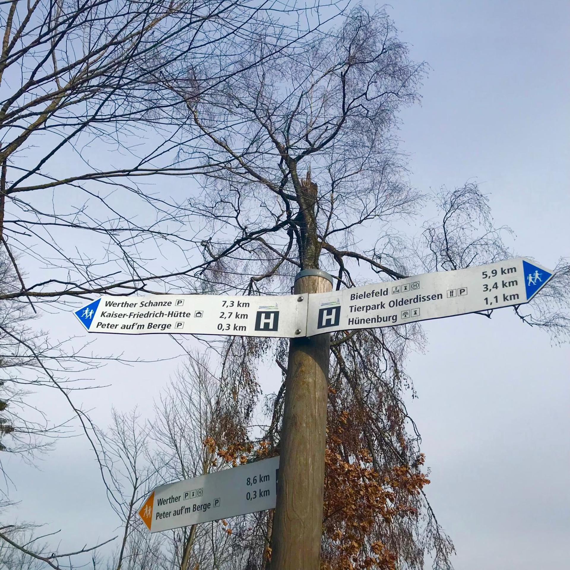 Waldhotel "Peter aufm Berge"