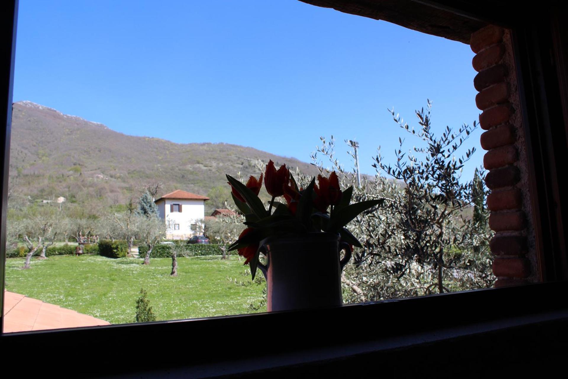 Agriturismo IL CASTAGNETO