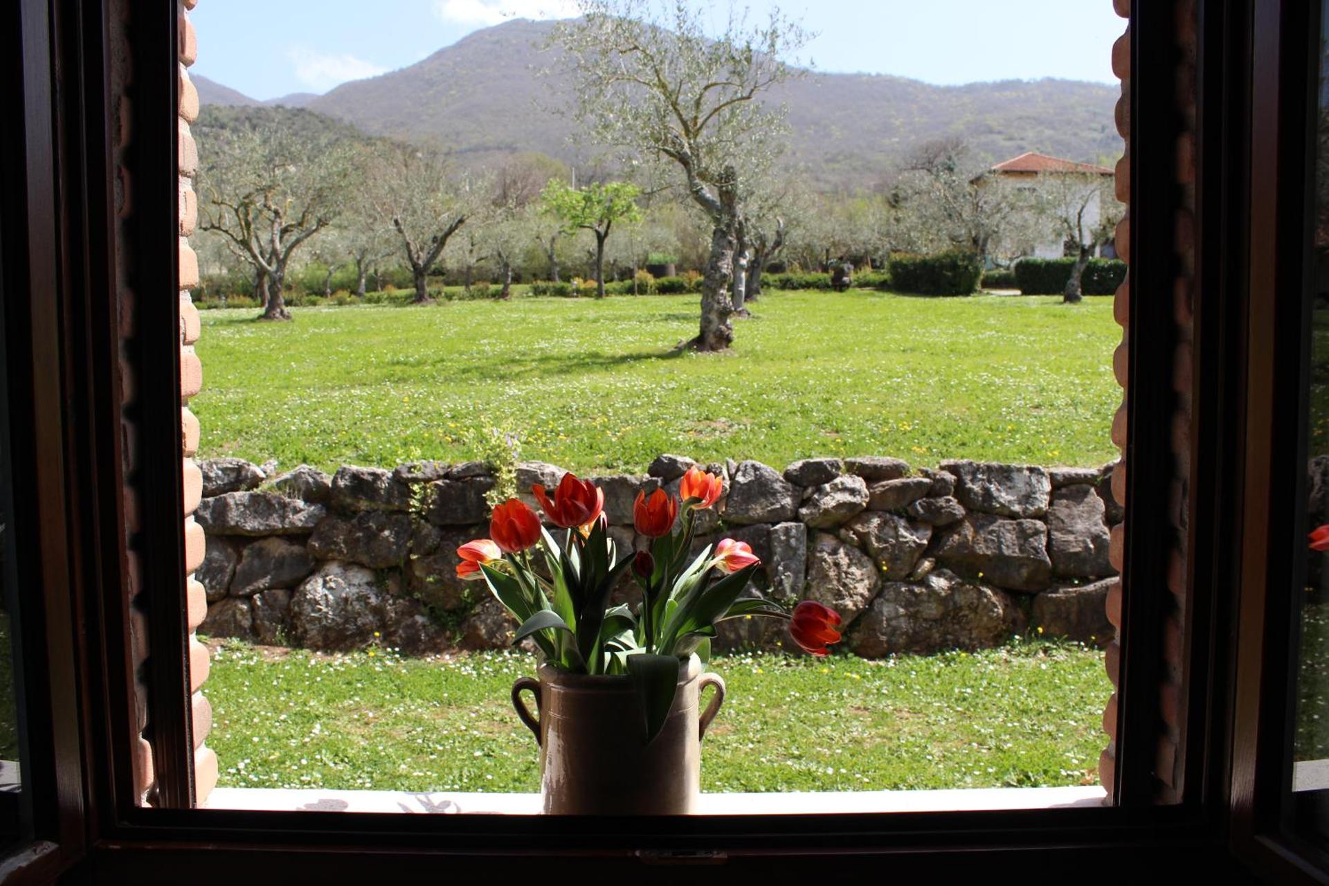 Agriturismo IL CASTAGNETO