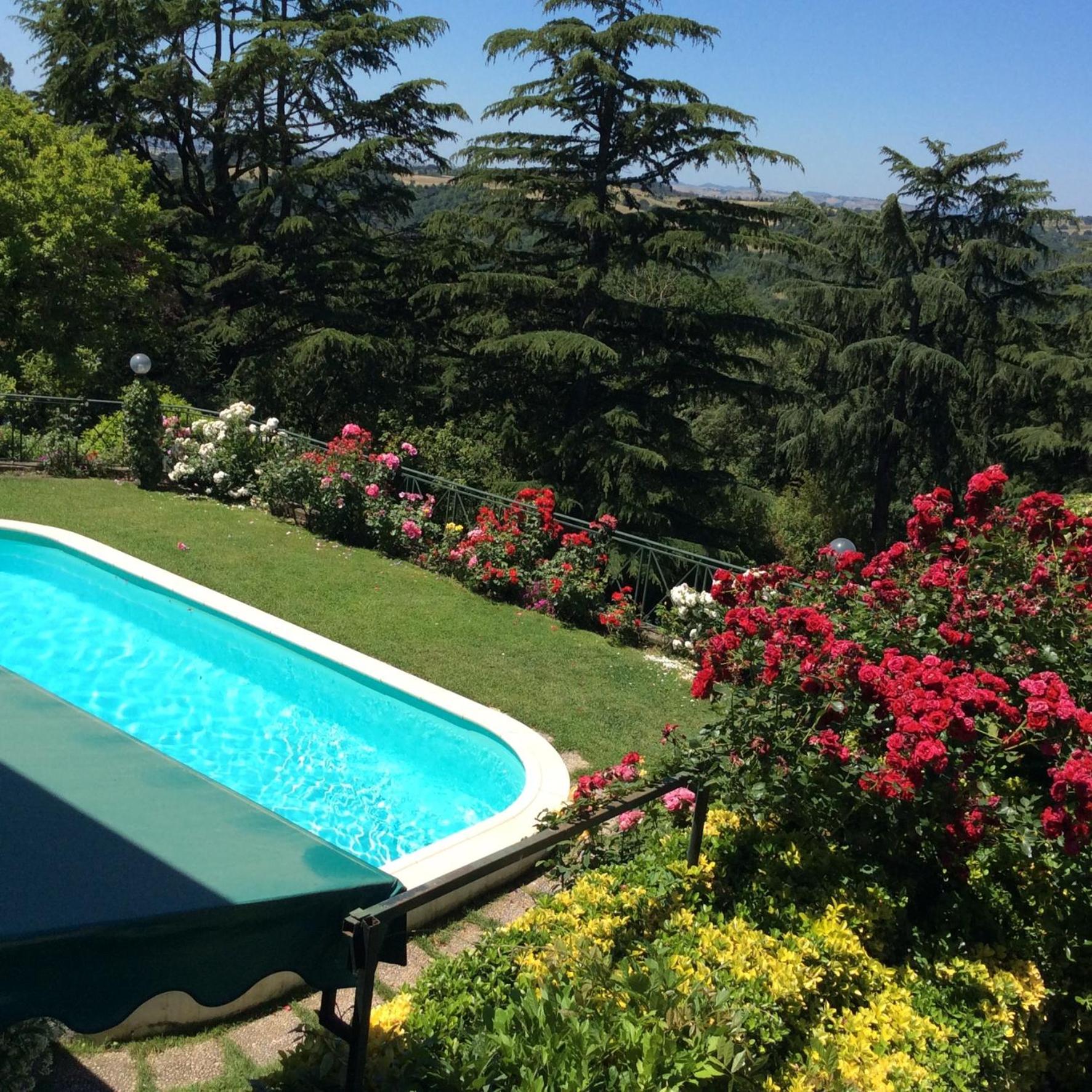 Villa Nanda a 15 minuti da Roma piscina esclusiva , villa nella natura