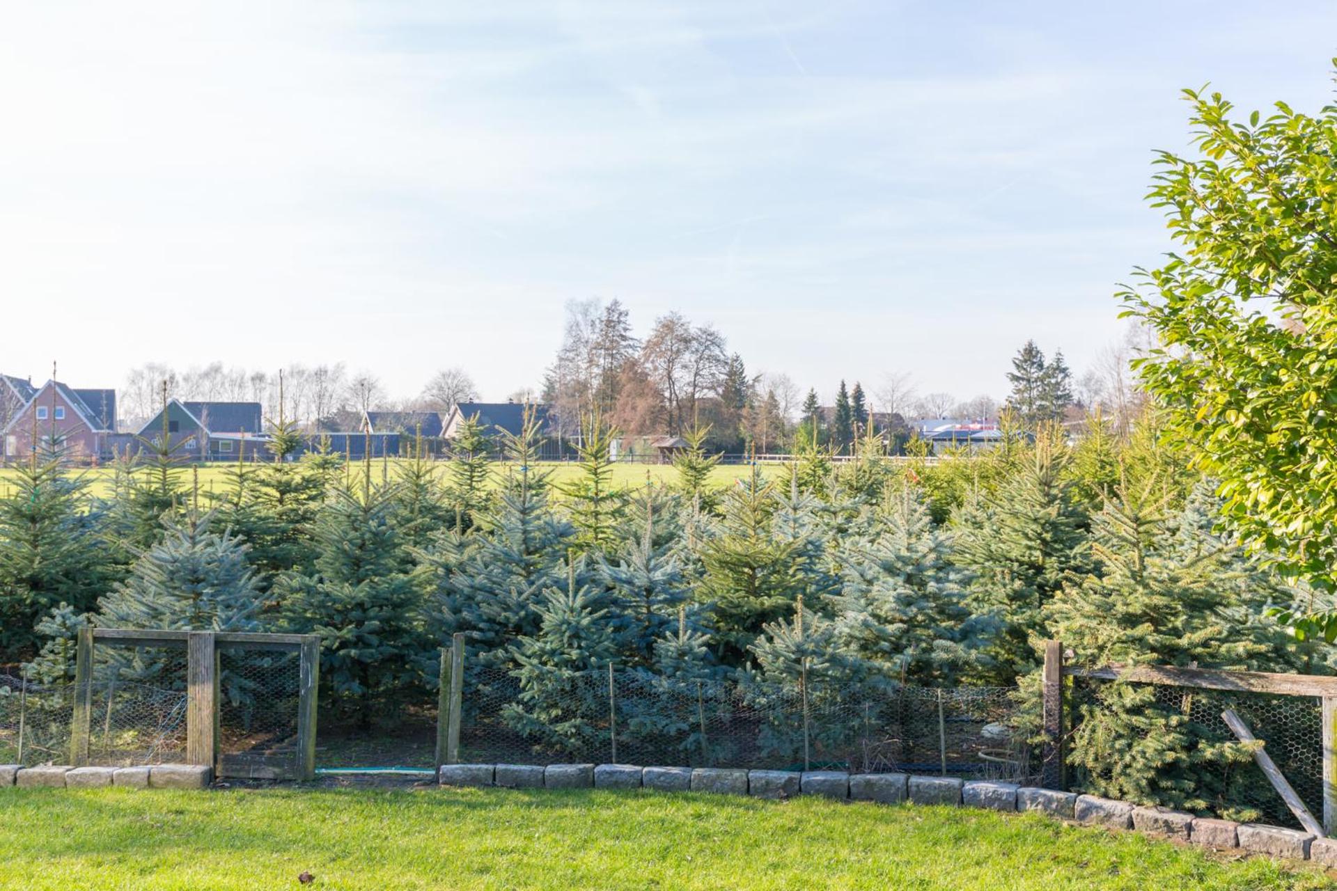 Bed & Breakfast Kroese