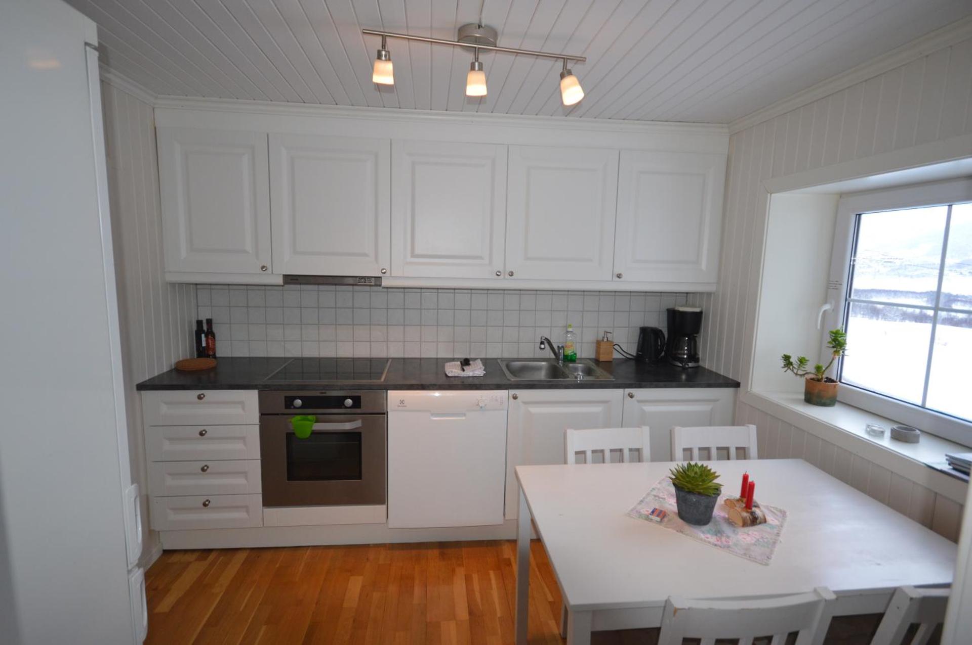 Apartment between Ustaoset and Geilo