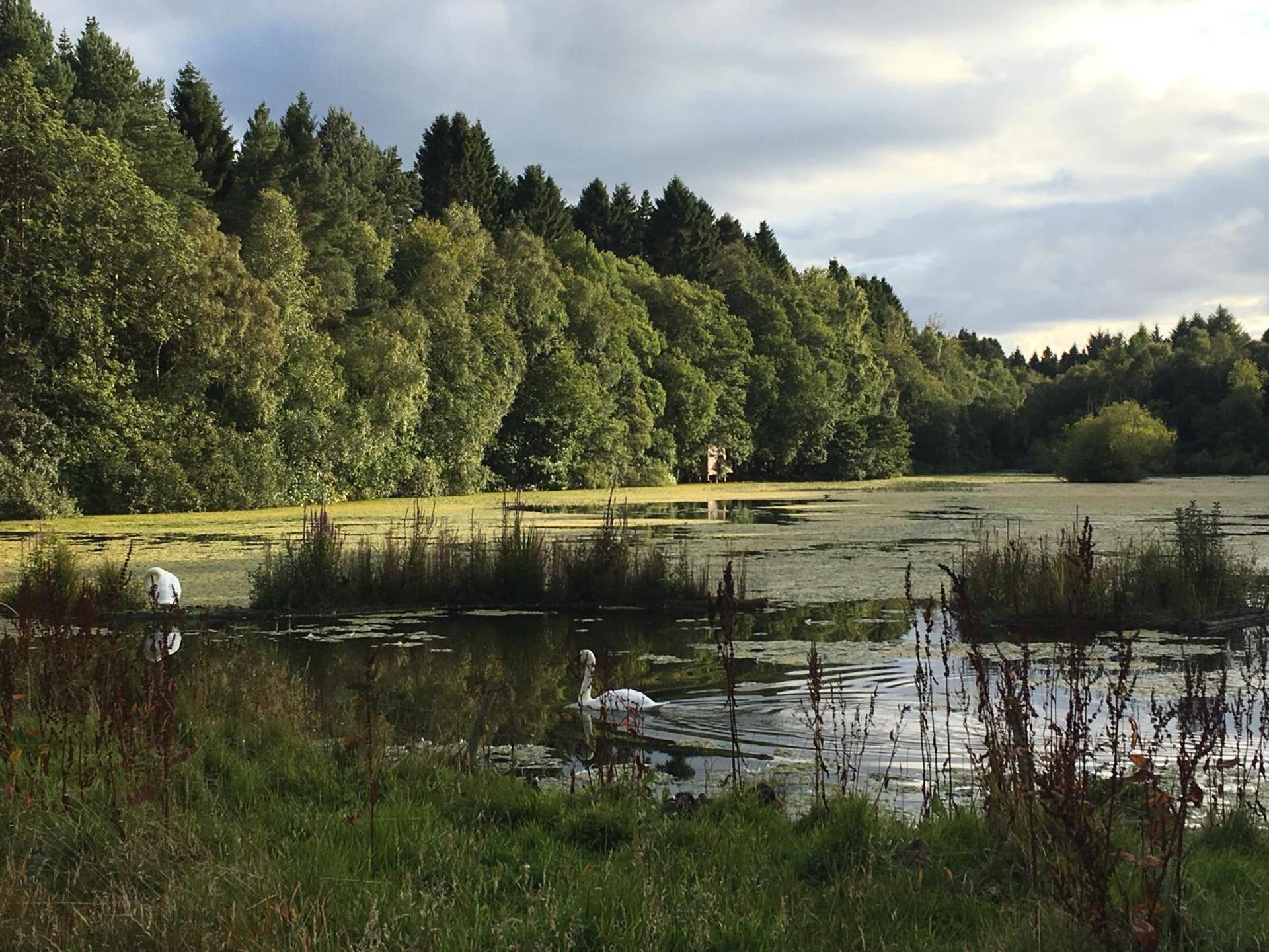 Distillery Apartment 1