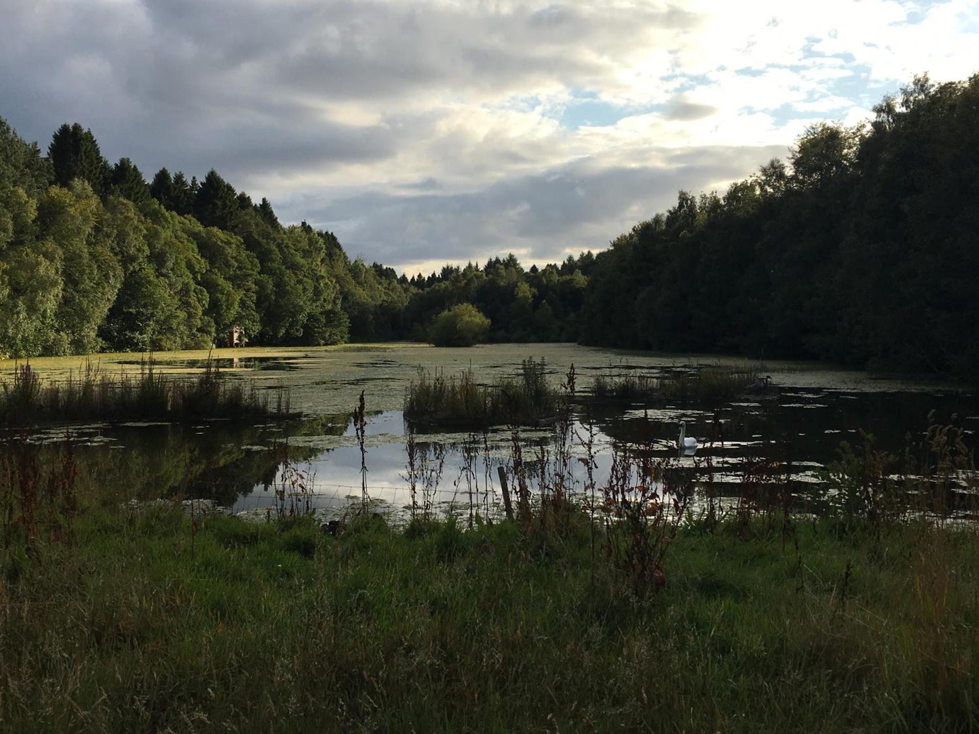 Distillery Apartment 1