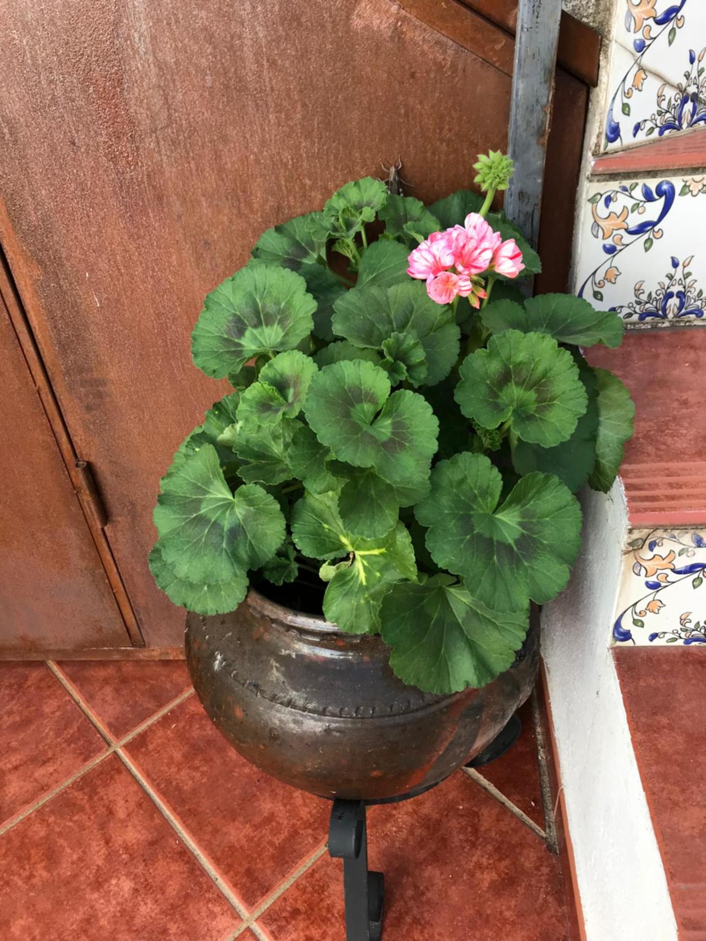 Casa Rural La Herencia