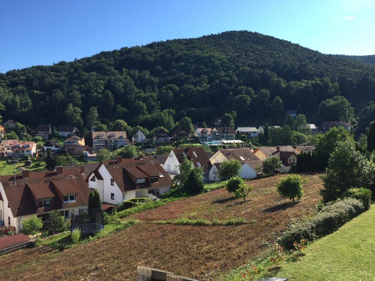 Ferienwohnungen Tauscher