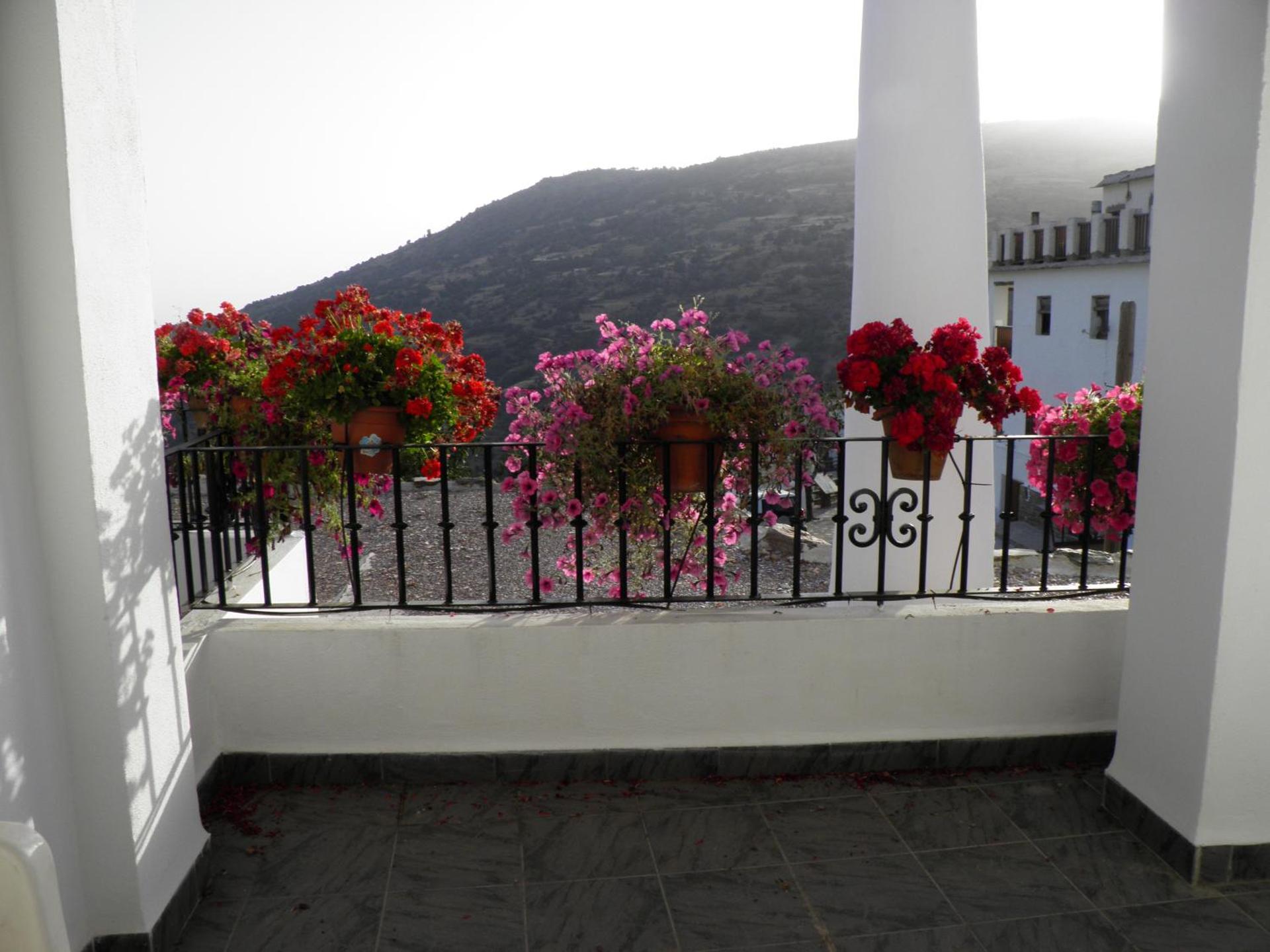 Apartamentos Casalpujarra