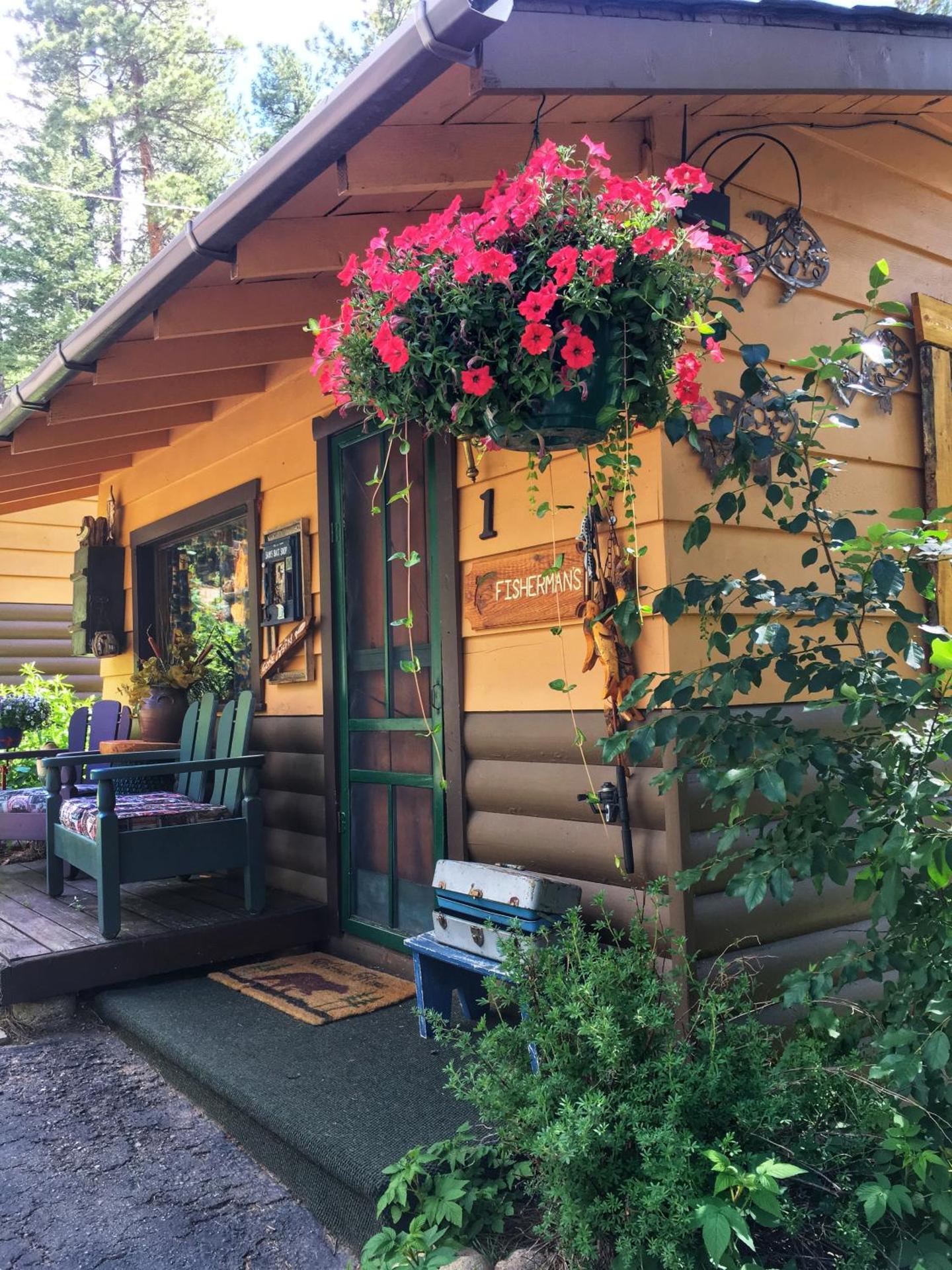 Photo of the whole room