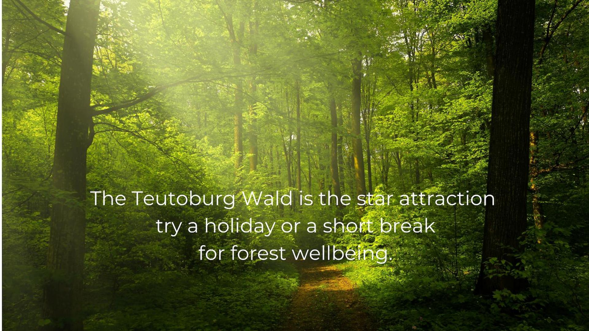 Waldhotel "Peter aufm Berge"