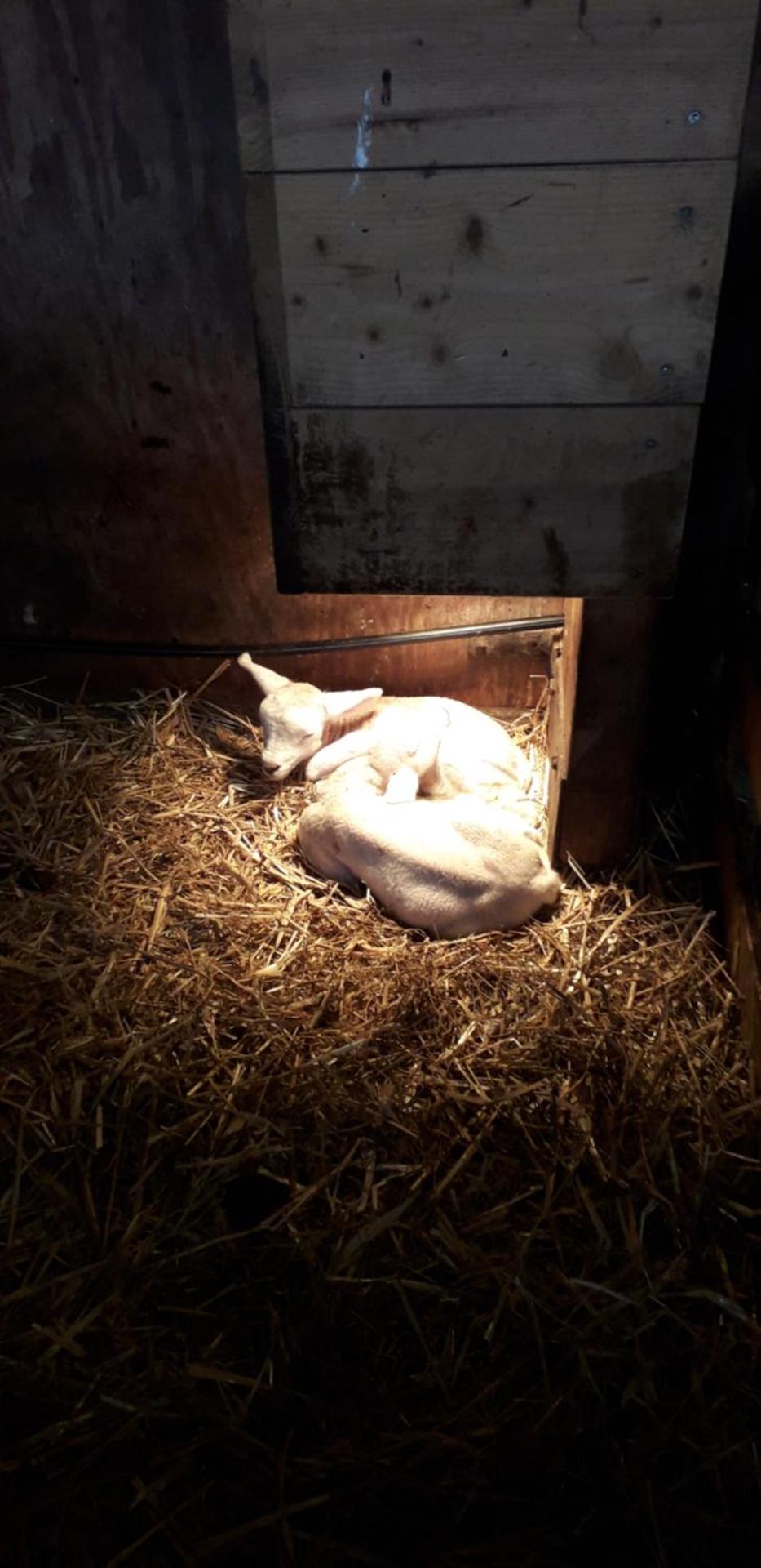 Bed en Breakfast kamers en meer Het Spookhuis