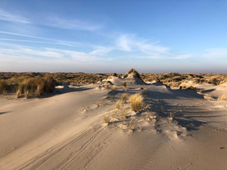 Bed en Breakfast kamers en meer Het Spookhuis