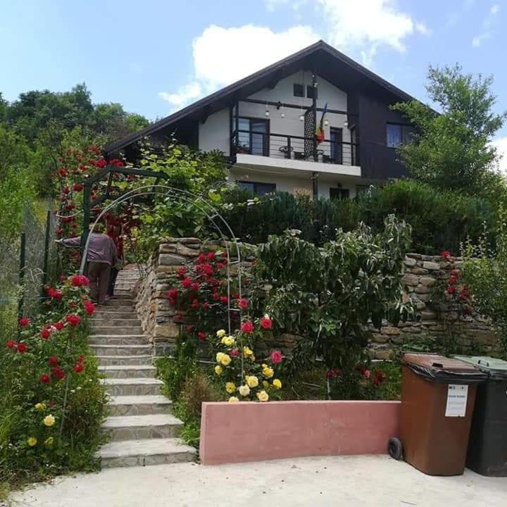 Casuta cu Trandafiri