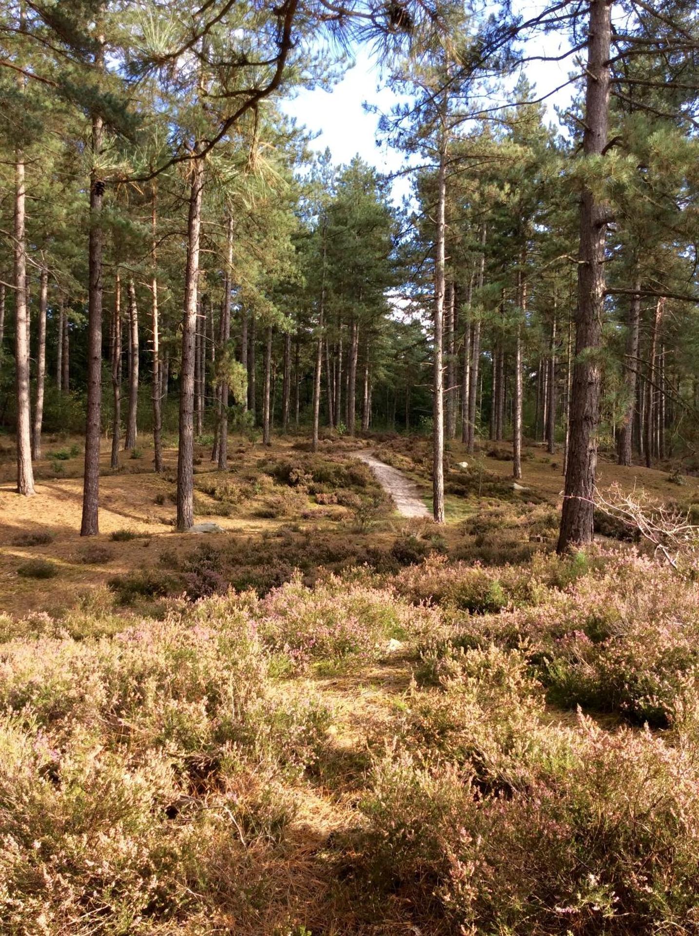 La Maison du Parc Affaires et Tourisme