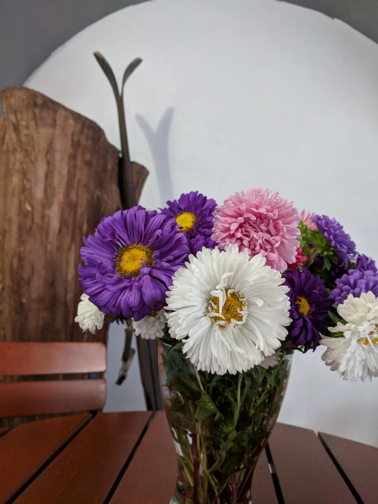 Inner courtyard view