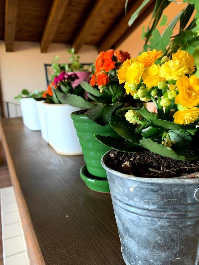 Masia de la Serra de la Cogulla