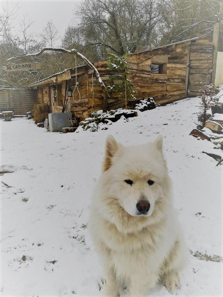 La Cabane Aux Loups