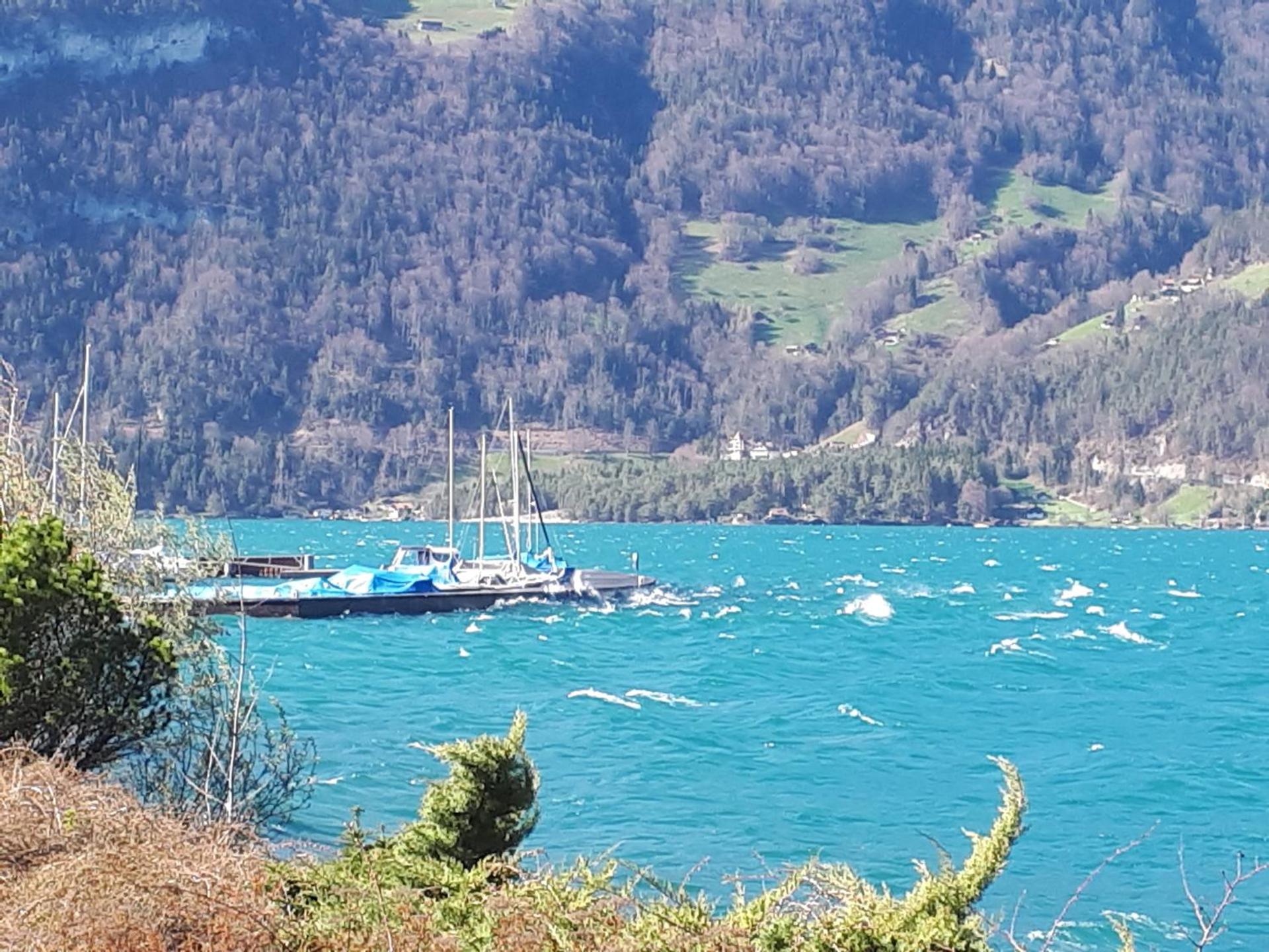 Berner Oberland Am Thunersee