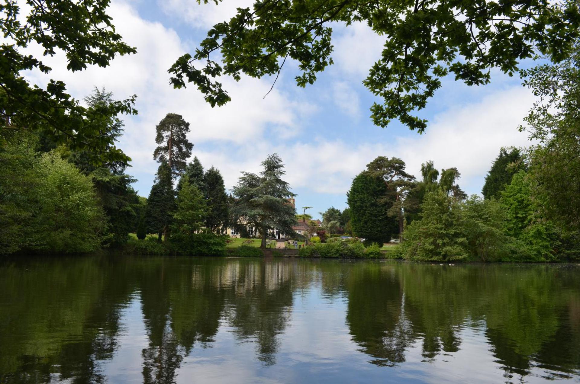 View (from property/room)