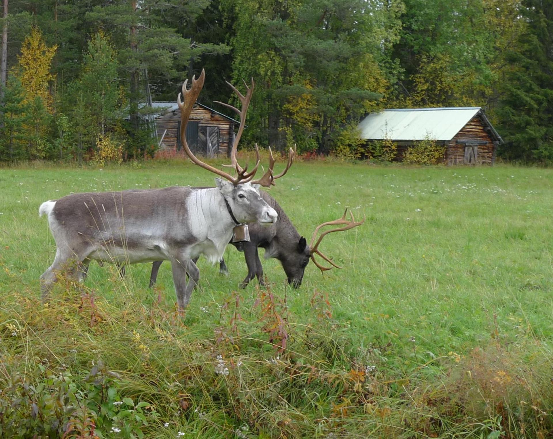 Nice house in a quite place