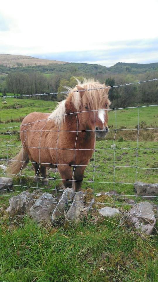 tranquil apartment near Kenmare