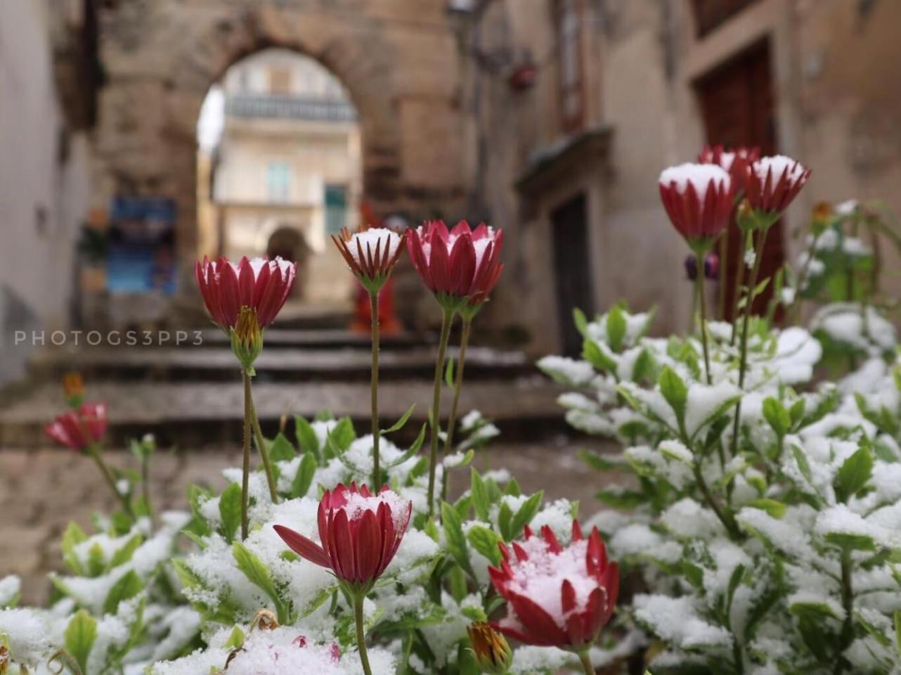 Nonnalù Holiday Home