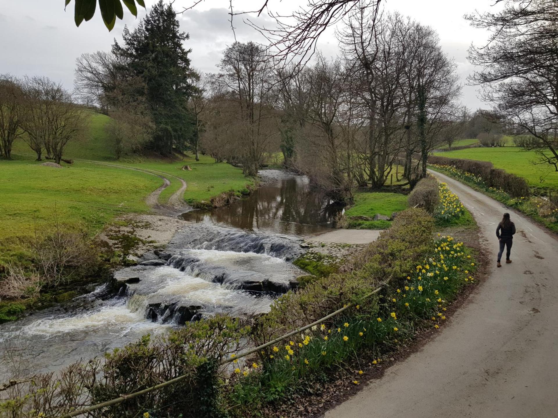 Lletty Ann wynn at Fraithwen Cottages