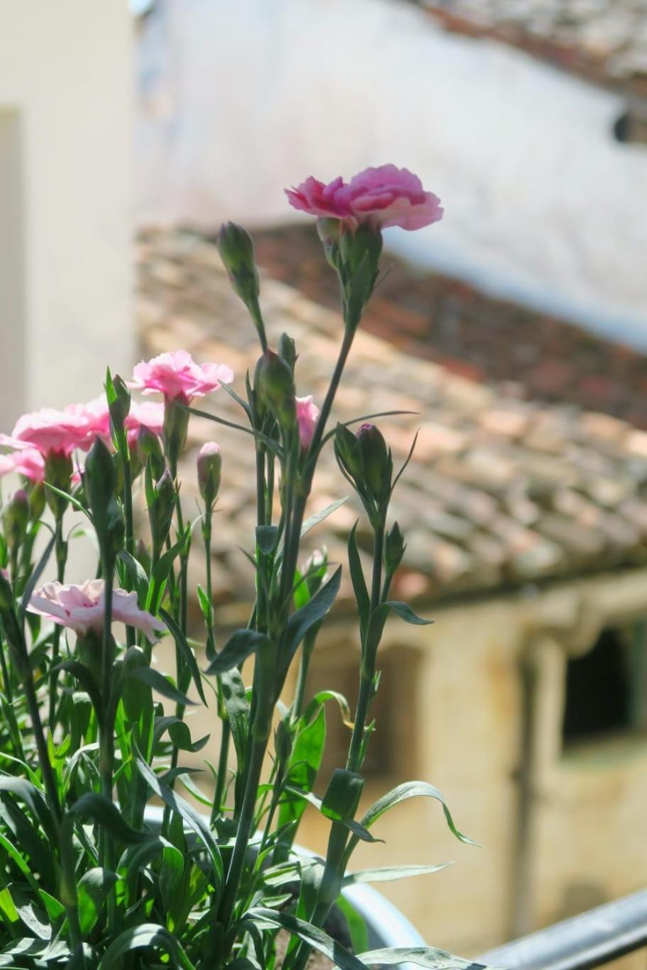 Apartamento Zocailla Suite