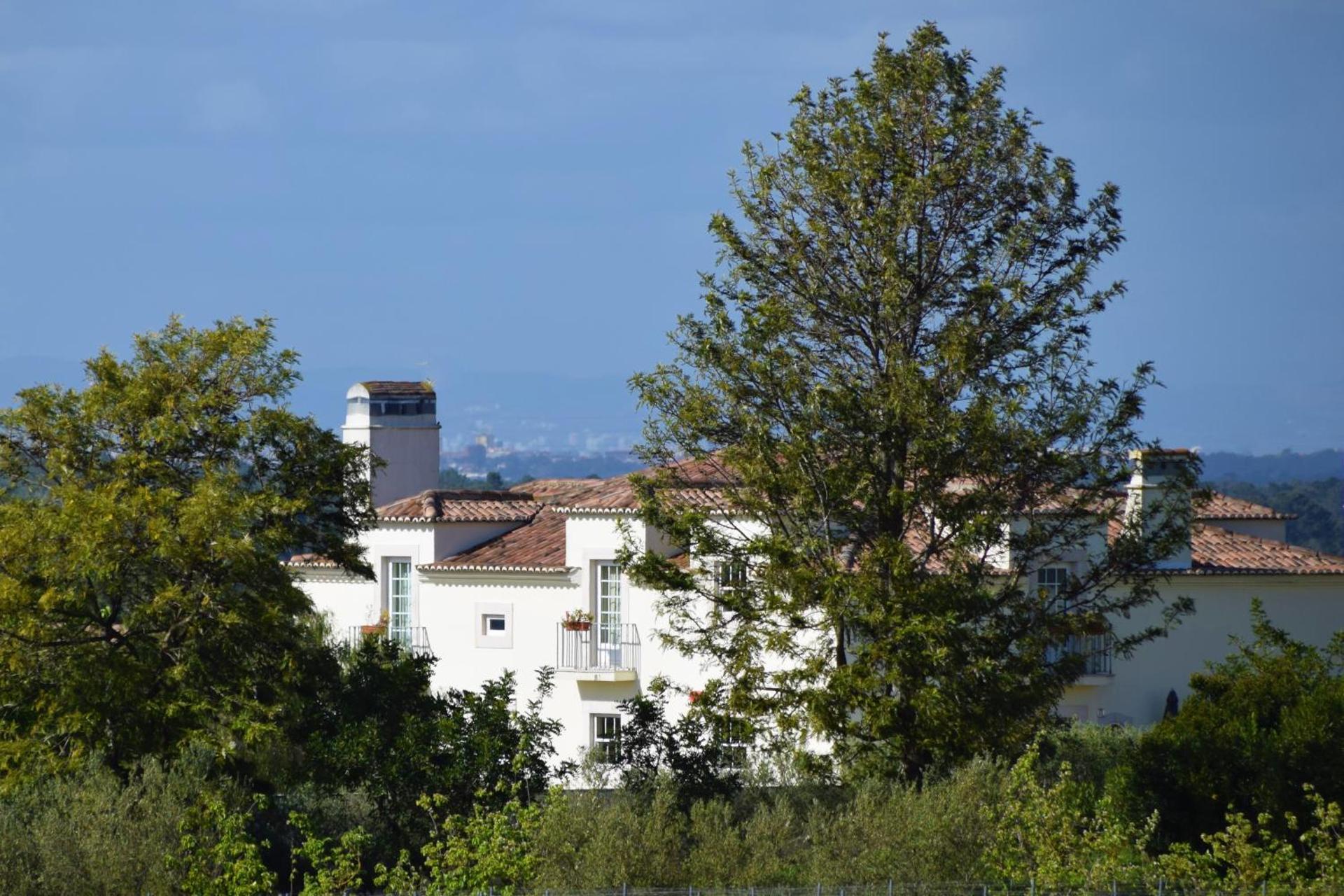Quinta De Catralvos