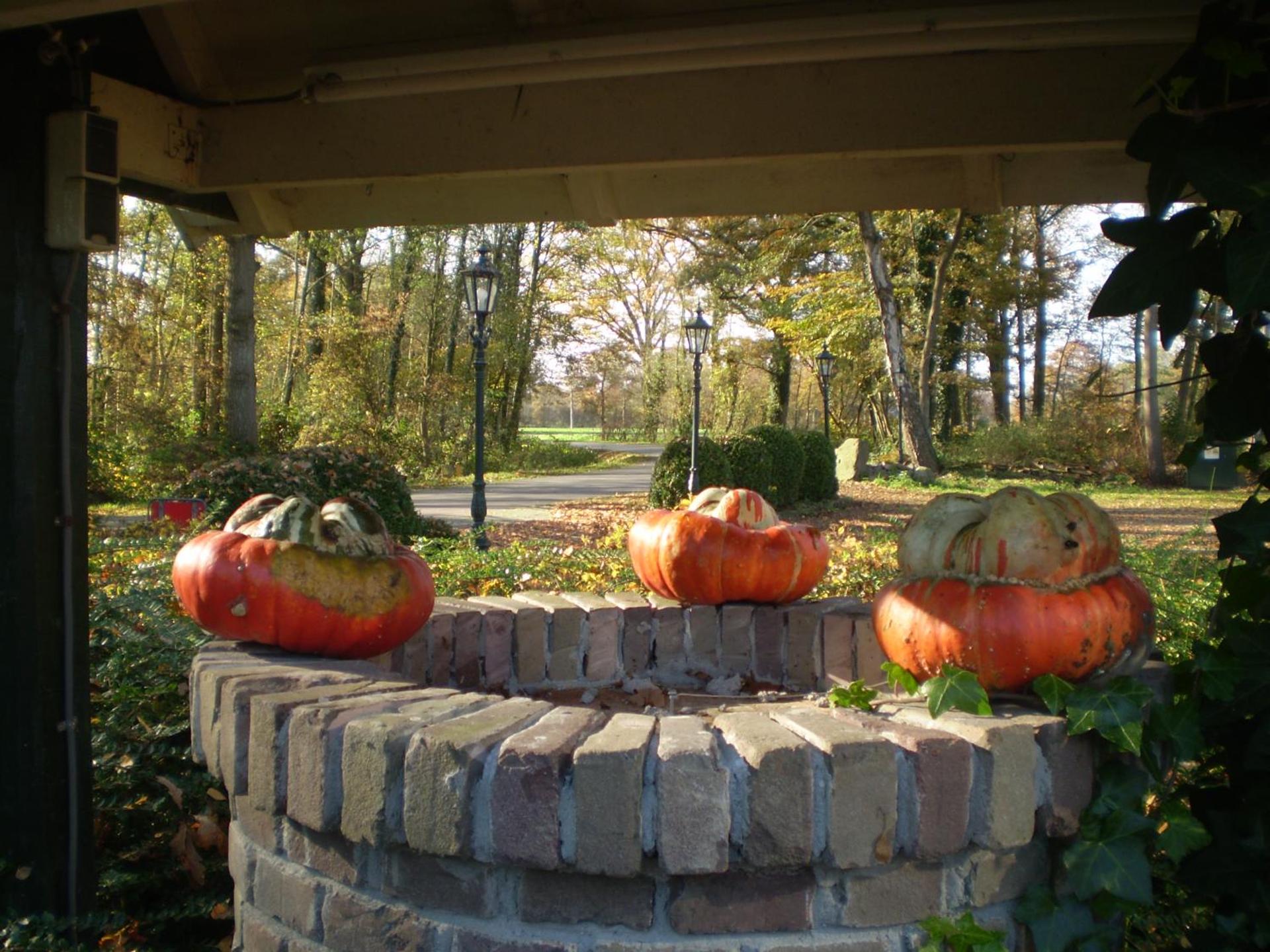 Hotel & Restaurant 'T Holt