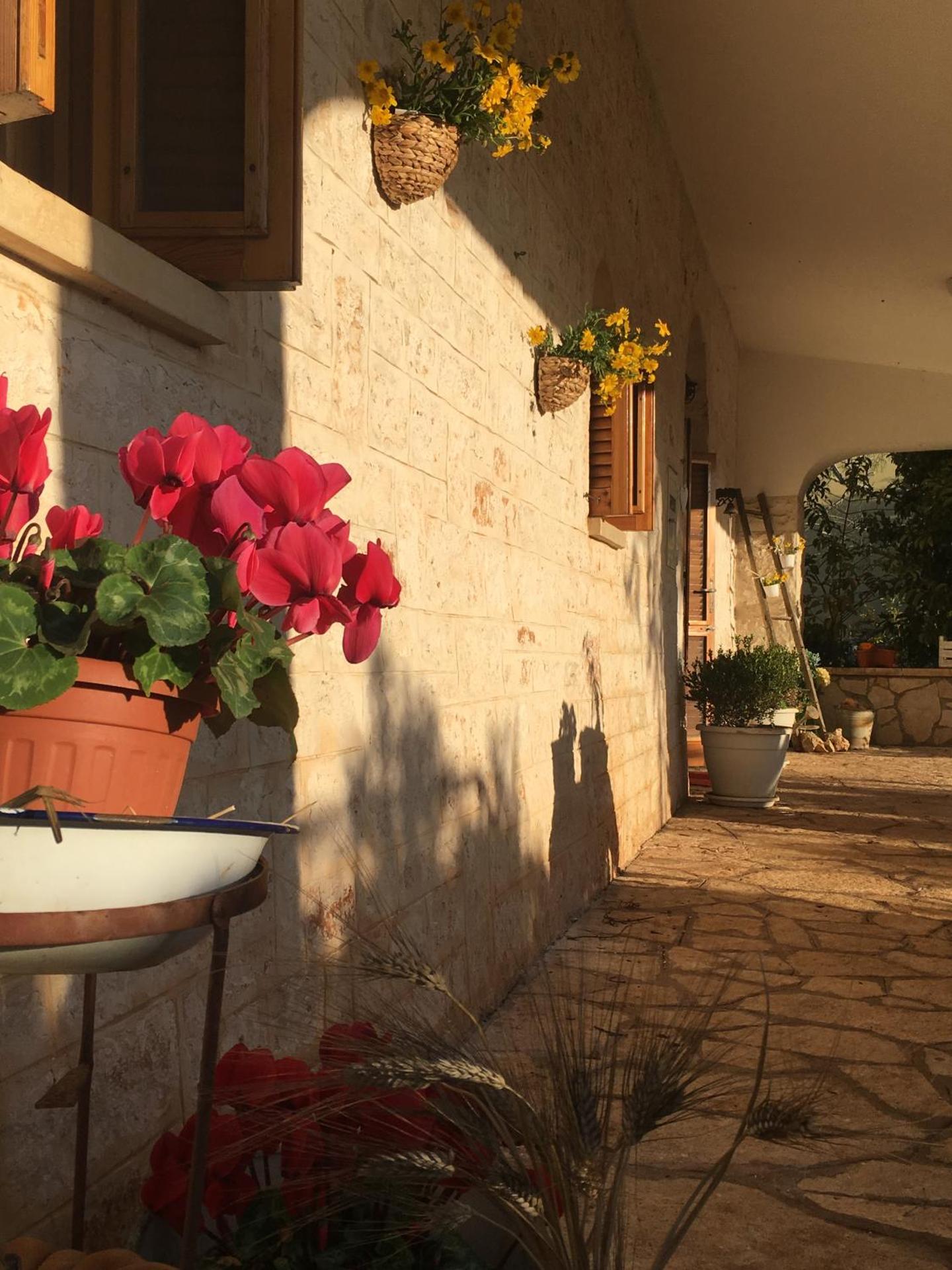 Il Trullo del Lazzeruolo