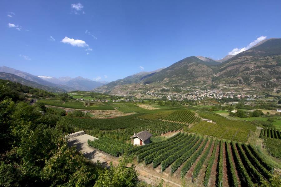 Casa Dialley Cir0013