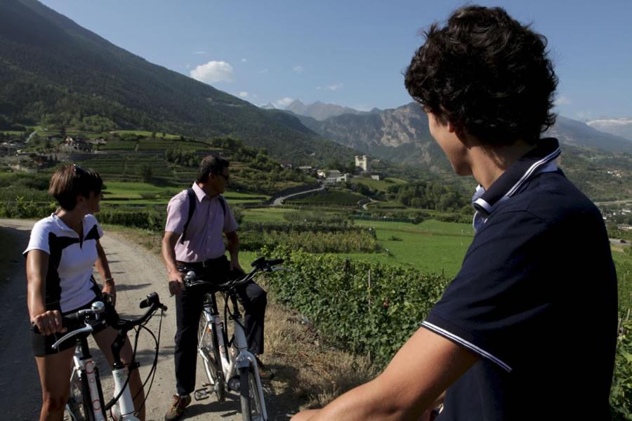 Casa Dialley Cir0013