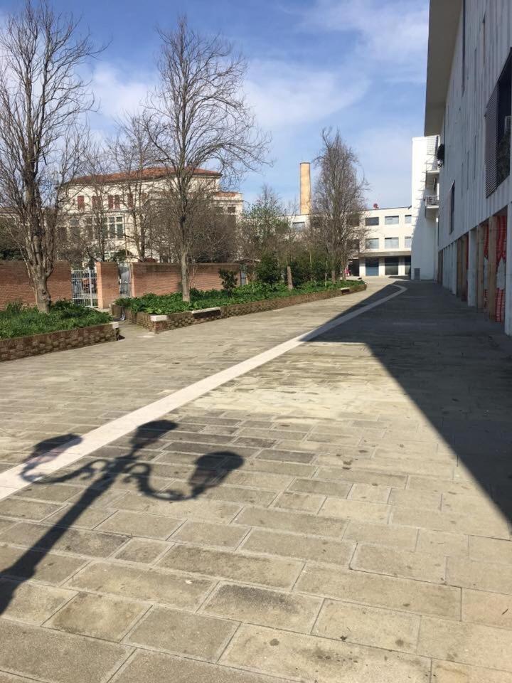 Nice & Cozy apartment